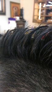 モヒカンの持続