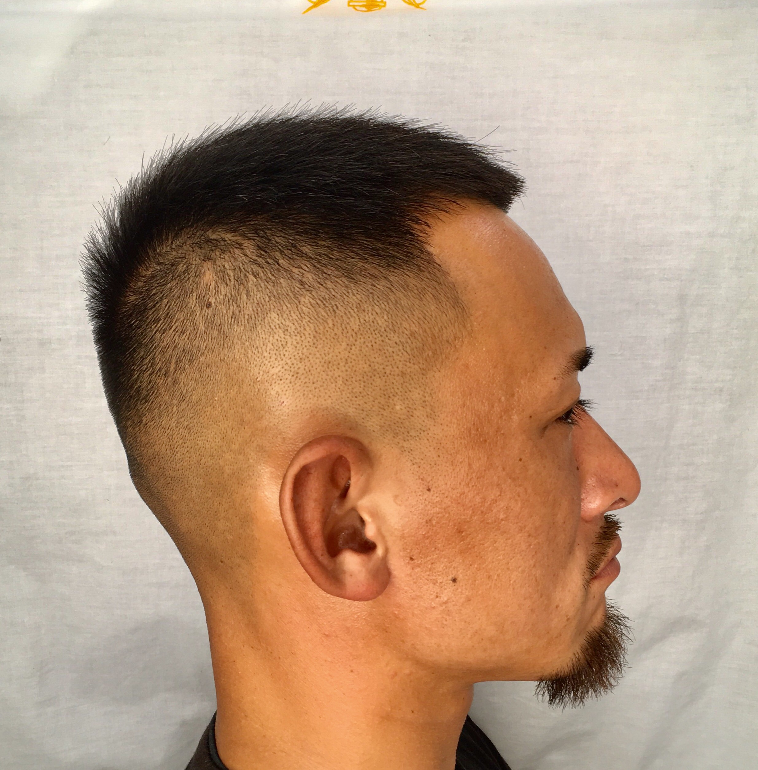 5スターを使いこなすプロフェッショナルとして